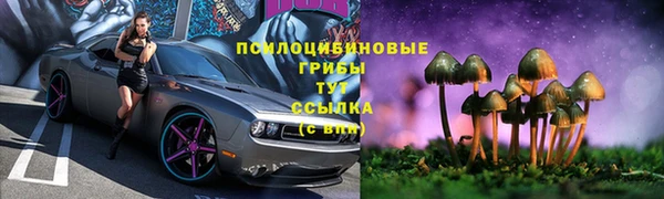 PSILOCYBIN Нефтегорск