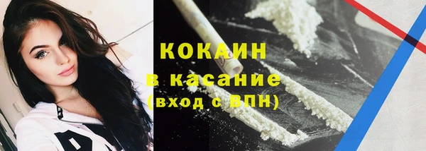 гашик Нея