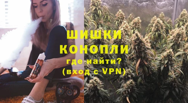 гашик Нея