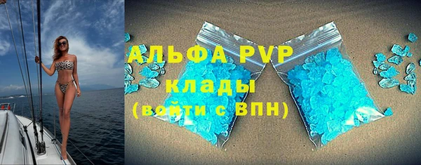 гашик Нея