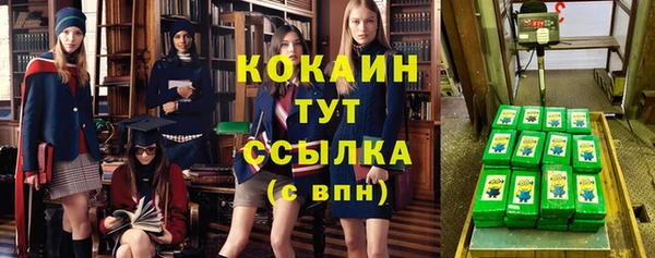 гашик Нея