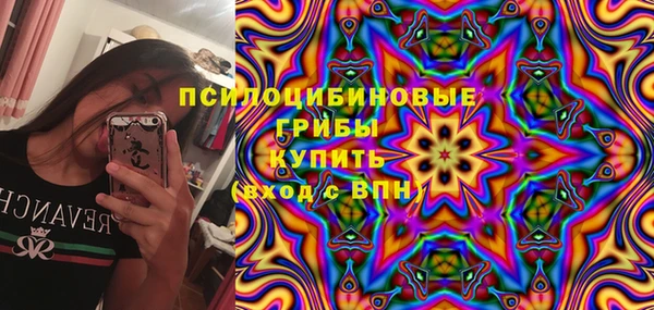 PSILOCYBIN Нефтегорск