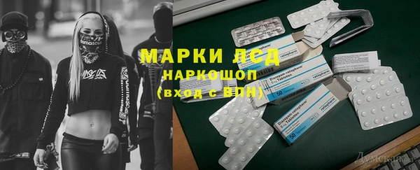 гашик Нея