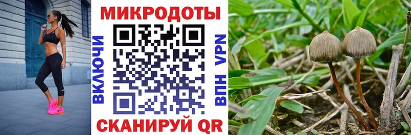 Псилоцибиновые грибы ЛСД  Мосальск 